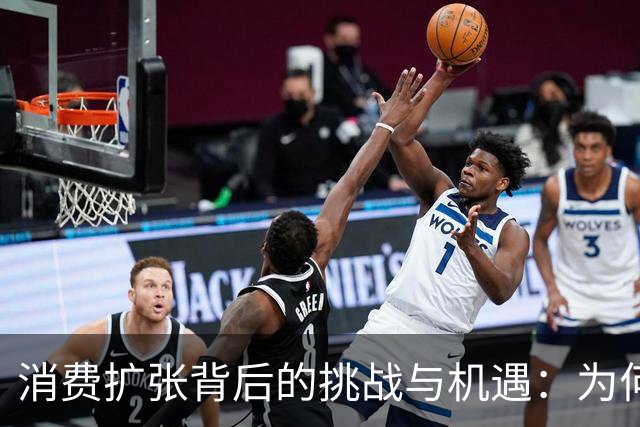 消费扩张背后的挑战与机遇：为何收入分配改革依旧滞后？